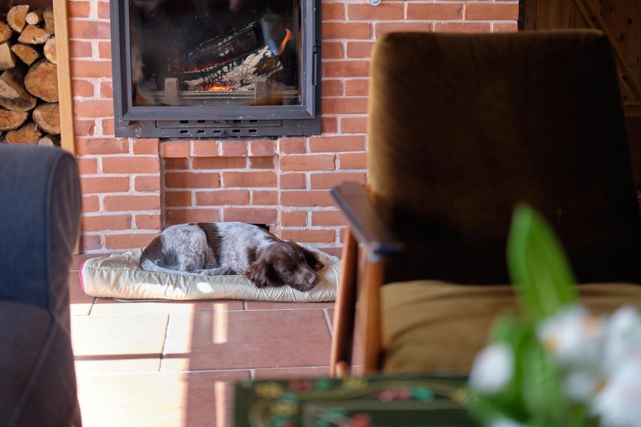 Chata Waliszow Nowy Waliszow Ngoại thất bức ảnh
