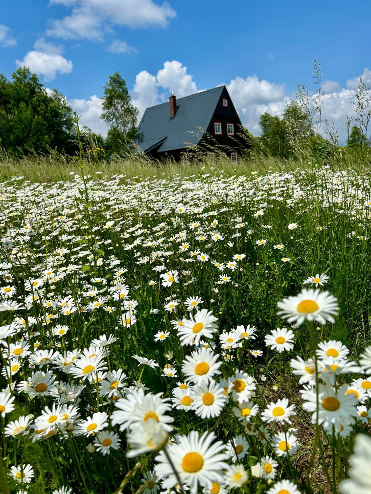 Chata Waliszow Nowy Waliszow Ngoại thất bức ảnh