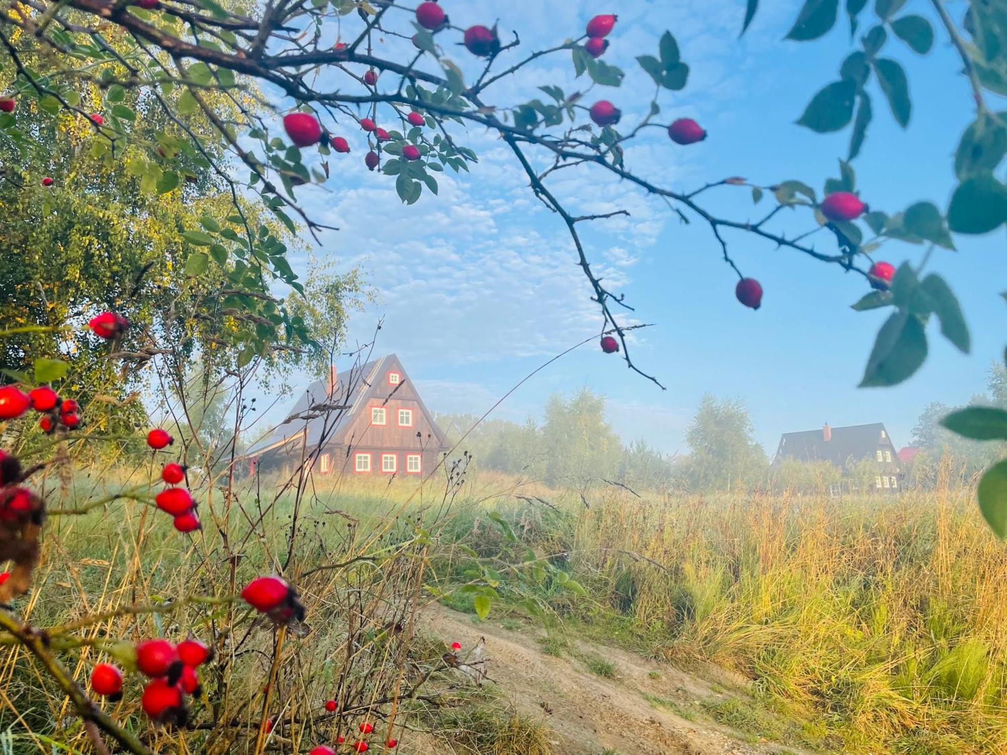 Chata Waliszow Nowy Waliszow Ngoại thất bức ảnh